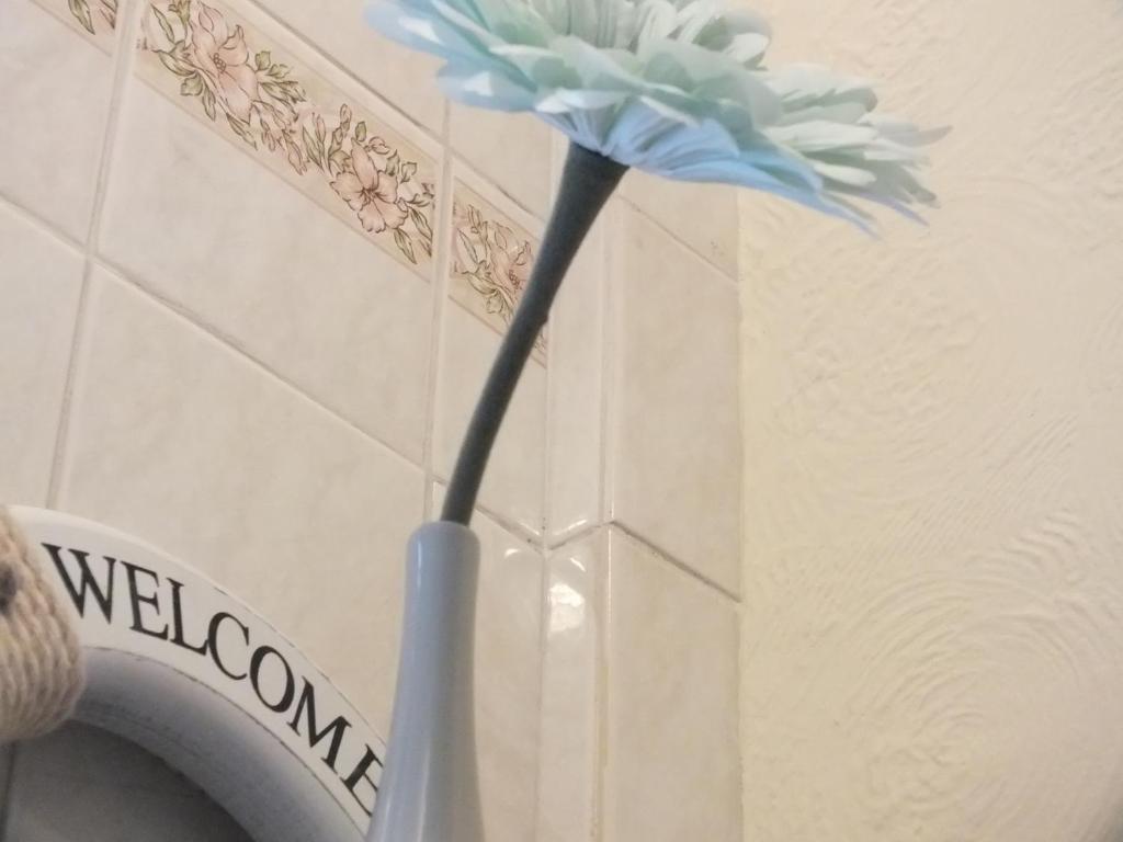 Leonardos Guest House Swansea Quarto foto